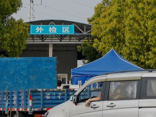 5月起，道路普通貨物運輸新規全面實施，將直接影響你我生活
